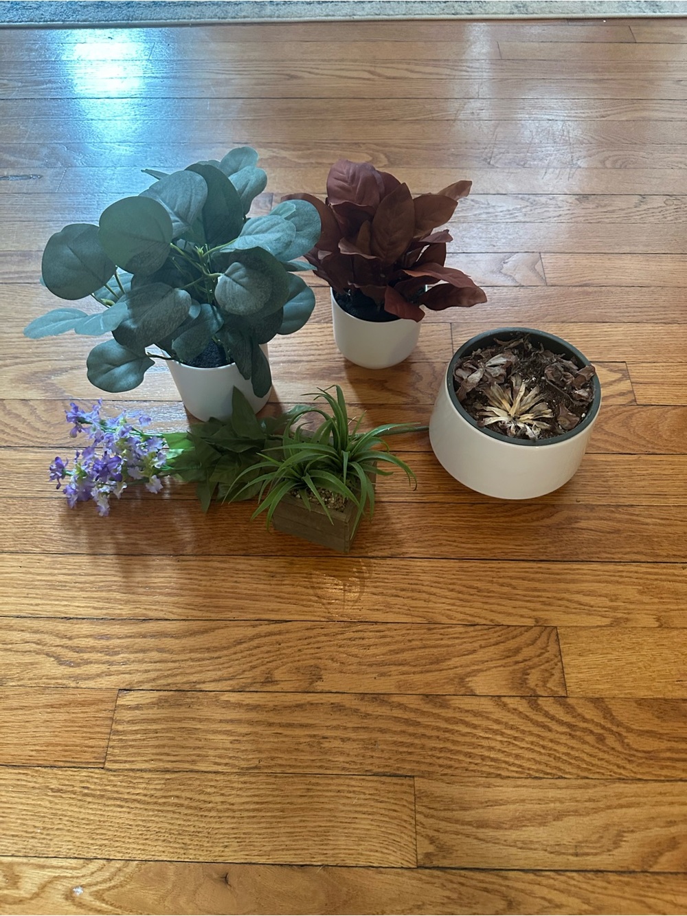 Decorative Faux Plant Set in White Pots - Green, Brown, Purple Accents